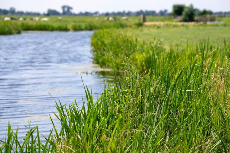 Het vrijgegeven concept van het Landbouwakkoord moet openheid van zaken geven