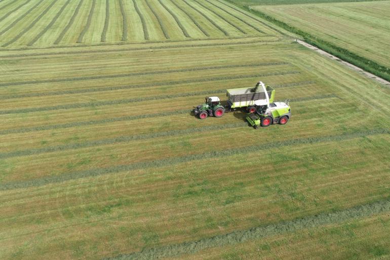 Het graslandareaal daalde tot 2005 met 126.000 hectare in Nederland en met 35.000 hectare in Vlaanderen