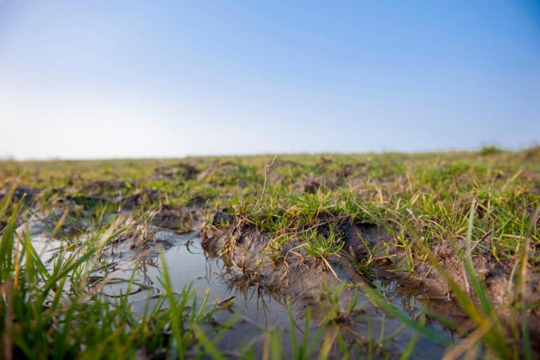 Ondanks de plassen in het land her en der, is het neerslagtekort dit jaar nog niet hersteld