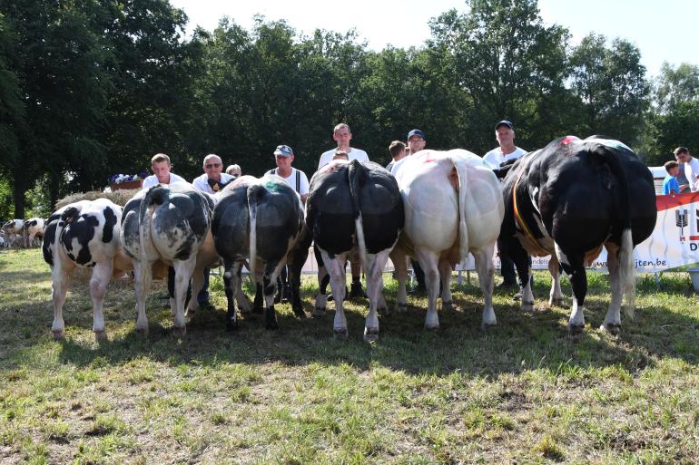 kampioenen Geel ten Aard