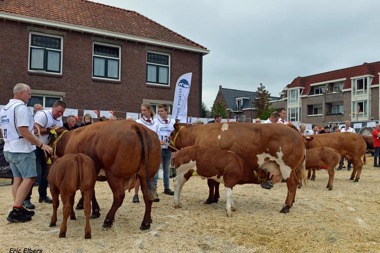 Charlotte van Halfweg