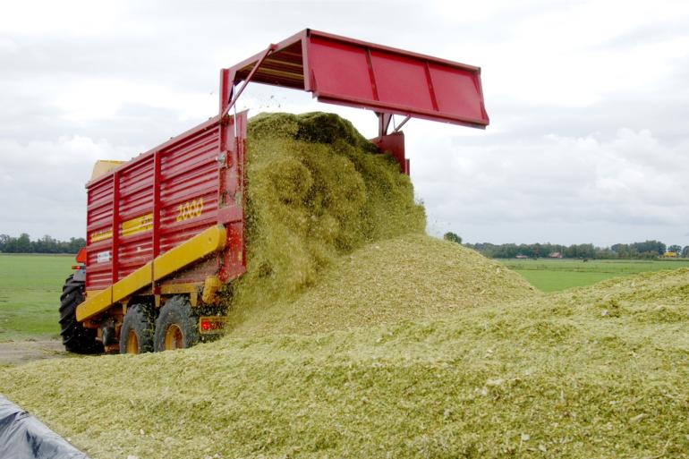 Een te hoge aanvoer van mais zorgt voor te weinig tijd om vast te rijden