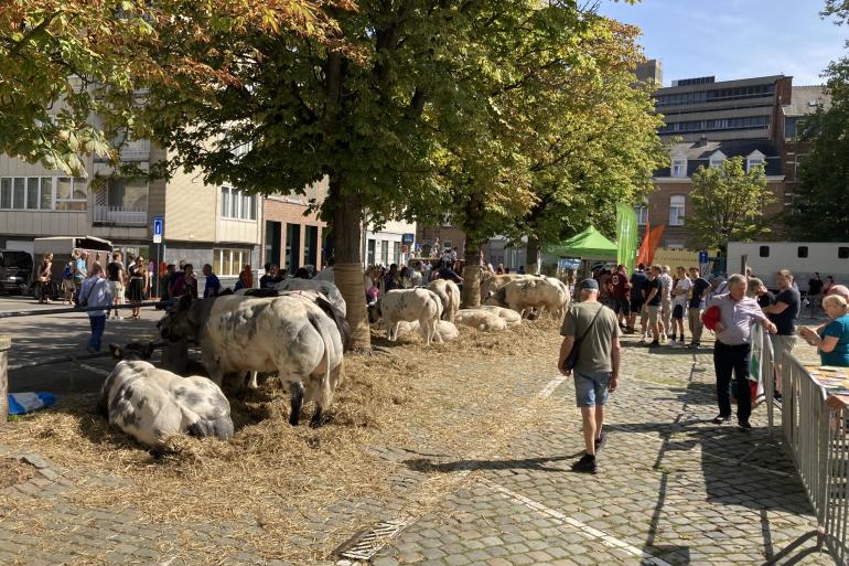 Leuven jaarmarkt