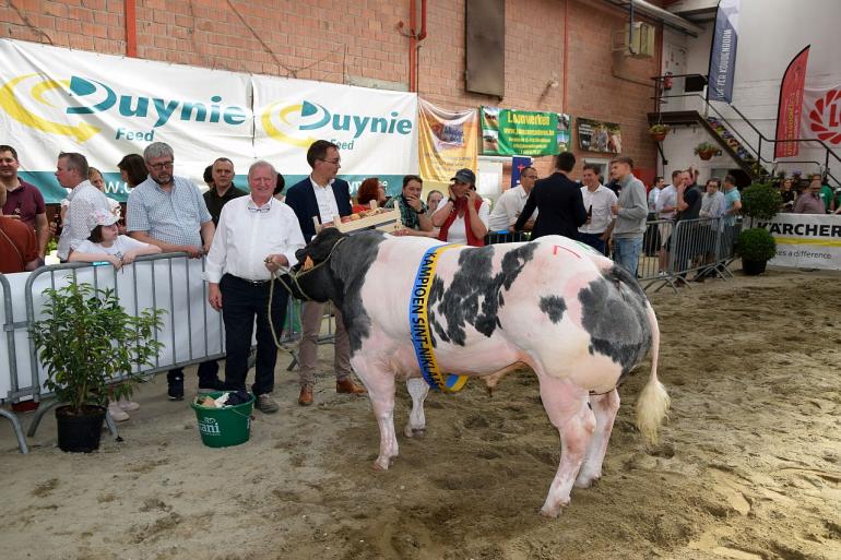 Toy-Boy van de Otterhoeve