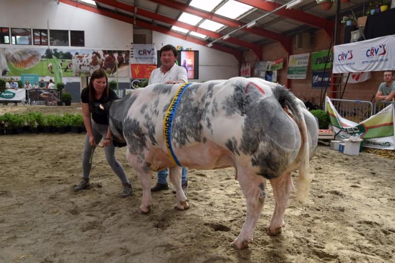 Noa van de Merehoekstraat