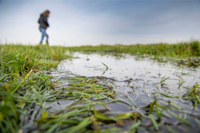 Extreme regenval zorgt voor veel achterstallig landwerk
