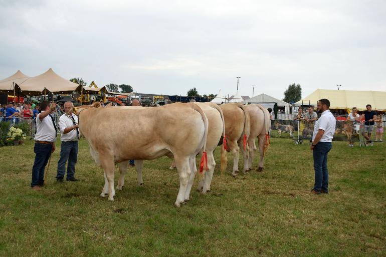 Blondes Bogaarden 2024 2