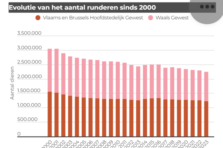 Ontwikkeling van het aantal runderen in België sinds 2000 (bron: Statbel)