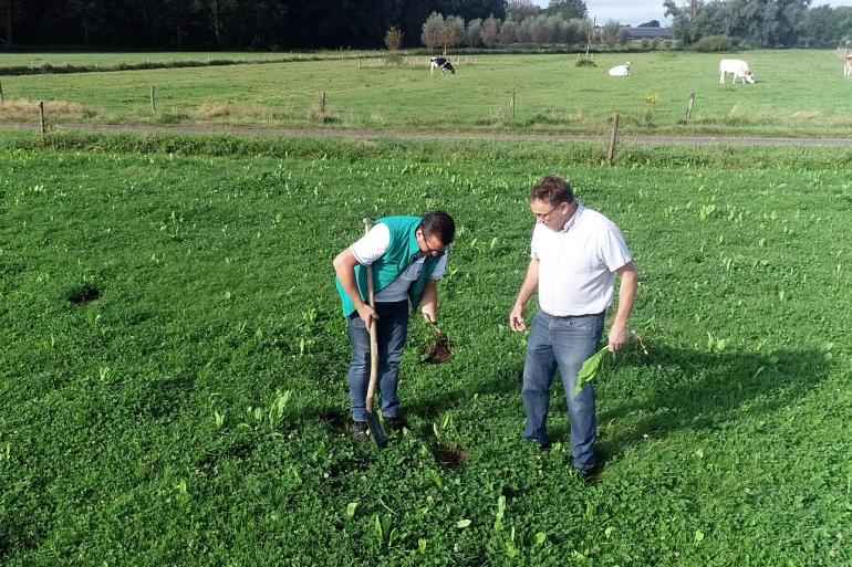 Rowan Timmer en Thieu Bongers nemen een kijkje onder de grasmat 