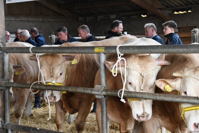 De veiling kan zowel fysiek als online gevolgd worden (foto: Theo Janssen)
