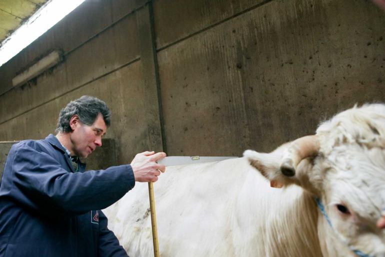 lineaire beoordeling