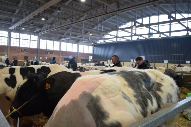 Sfeer jaarmarkt sint-Truiden