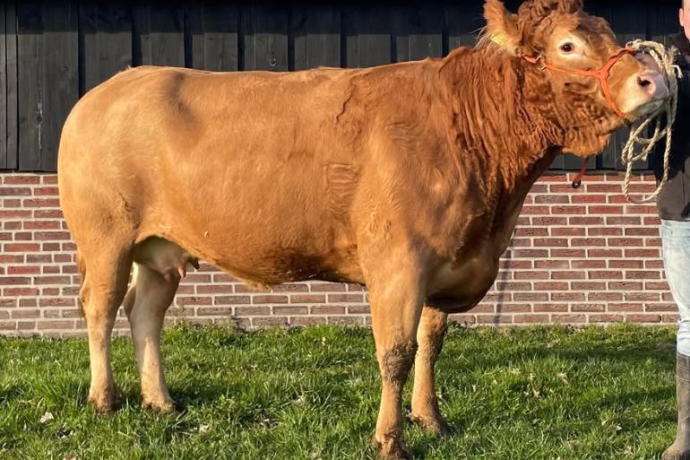 Nadia van de Hiedbrink