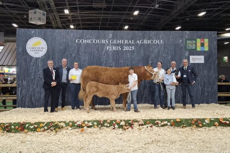 Parijs Limousin Royal