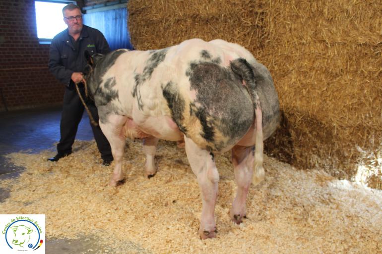 Vatour de l'Empereur