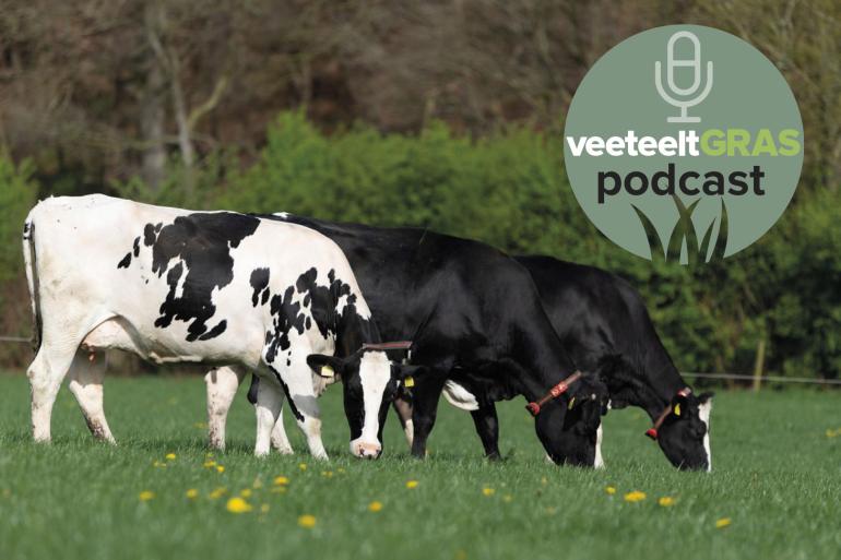 Er groeit nog niet genoeg gras om volop te gaan weiden