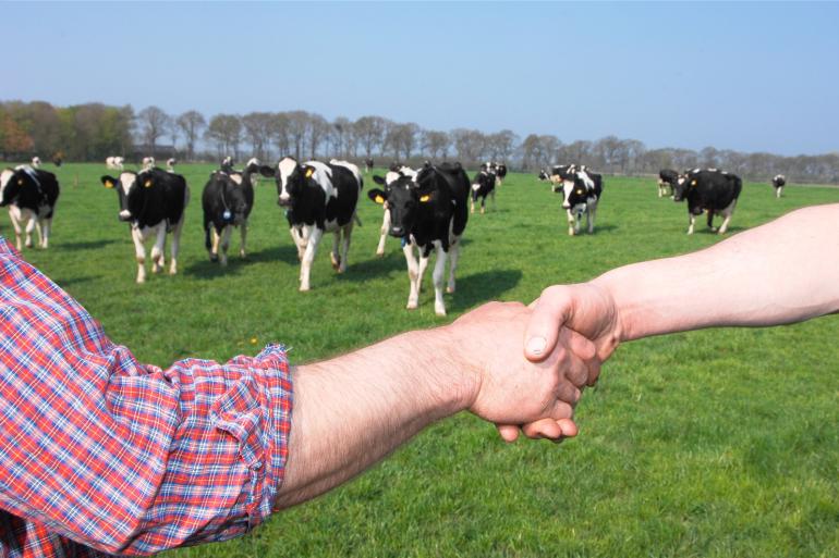 Er wordt hard gewerkt om het loket voor deze zomer klaar te maken