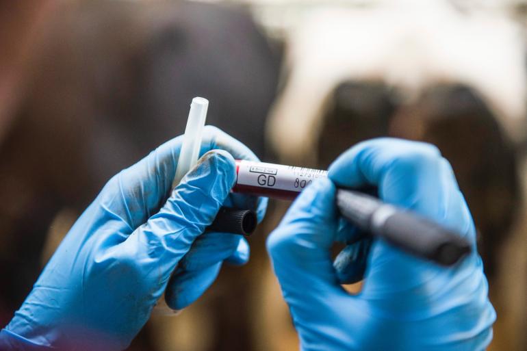 Eind 2024 nam zo’n 53 procent van de Nederlandse rundveebedrijven deel aan het privaat bvd-bestrijdingsprogramma