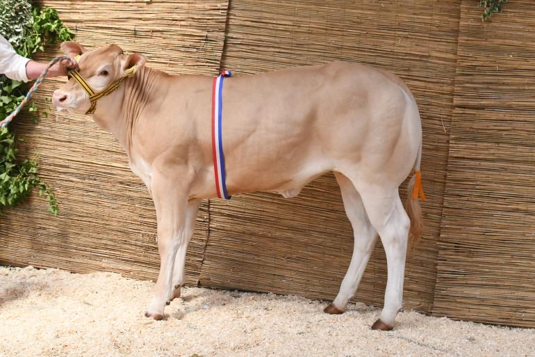 Dagkampioen Vega Malo