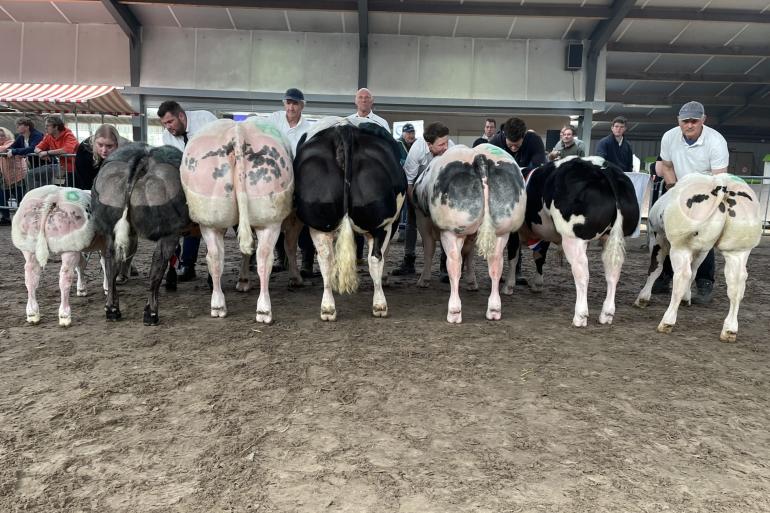 kampioenen bwb staphorst