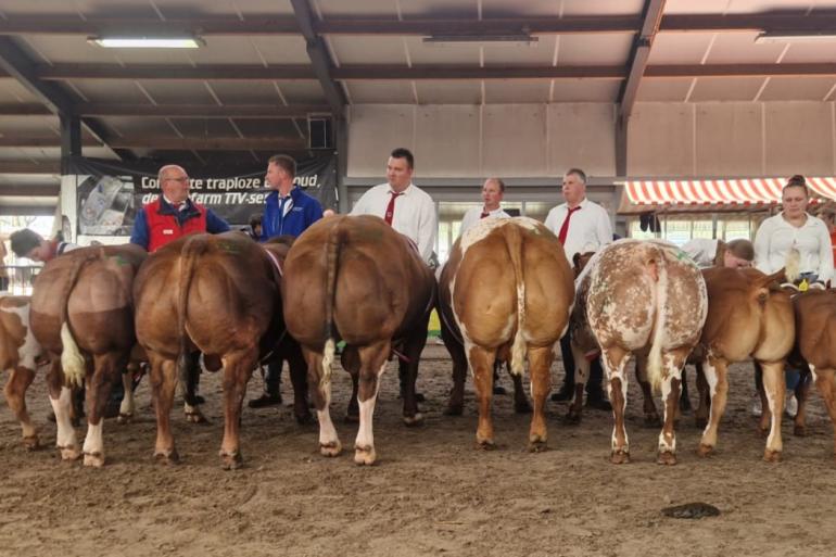 kampioenen vrb staphorst