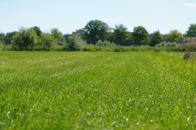 In totaal voerden de onderzoekers bijna 800 gasmetingen uit op tien graslandlocaties op zandgrond