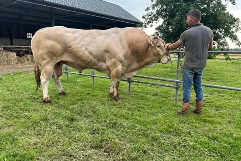 Structure van de Woeste Hoeve