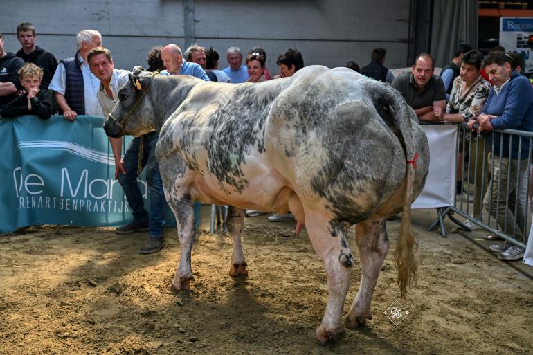 Topje van de Pannemeers
