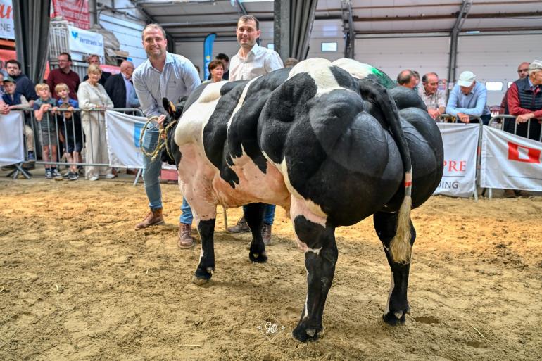 Tresor van Willecomme