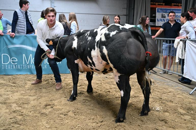 Venus van de Pannemeers