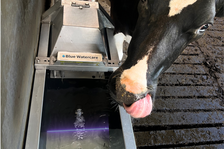 Een UVC-lamp doodt bacteriën door hun DNA te beschadigen 