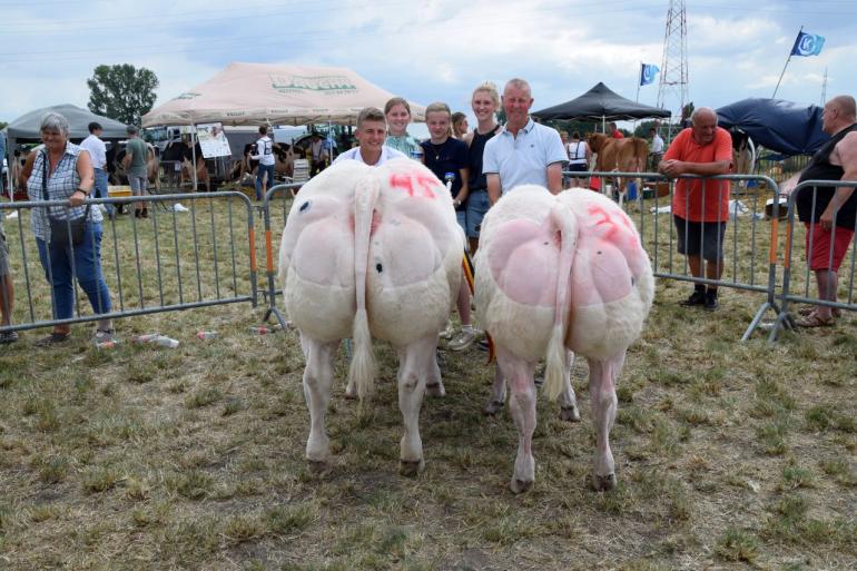 Stokerij kampioenen Wulpen