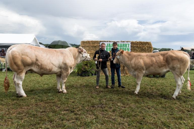 Blondes Bogaarden 2025 2