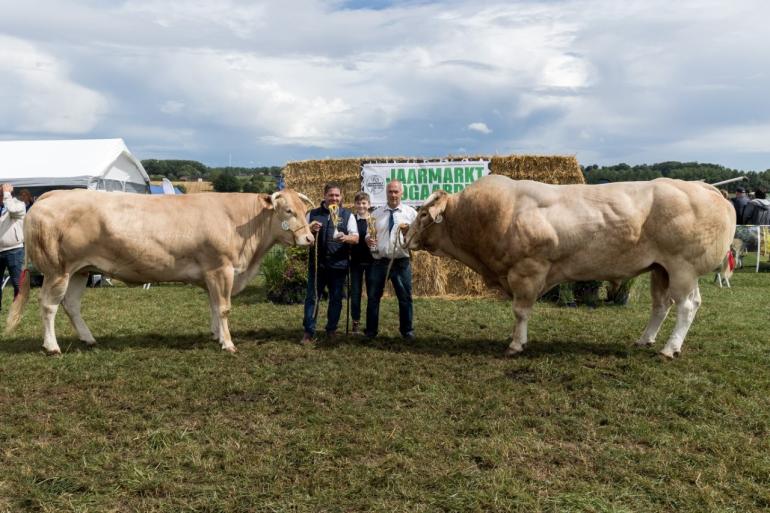 Blondes Bogaarden 2025 3