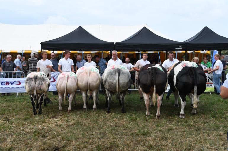 Kampioenen BWB Oosterkempen 2025