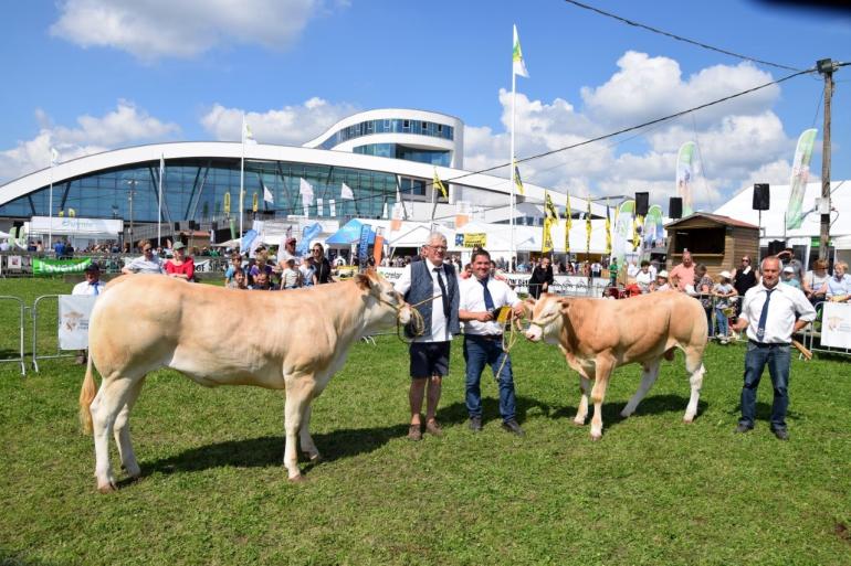 beste Belgisch blondes