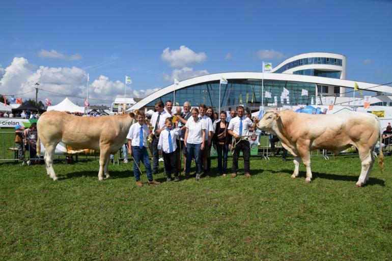 kampioenen jongvolwassen Libramont