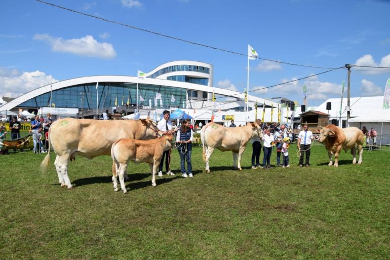 kampioen oudere dieren