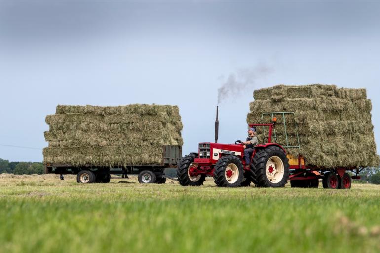 Meer dan de helft van de trekkers in Nederland is ouder dan 30 jaar