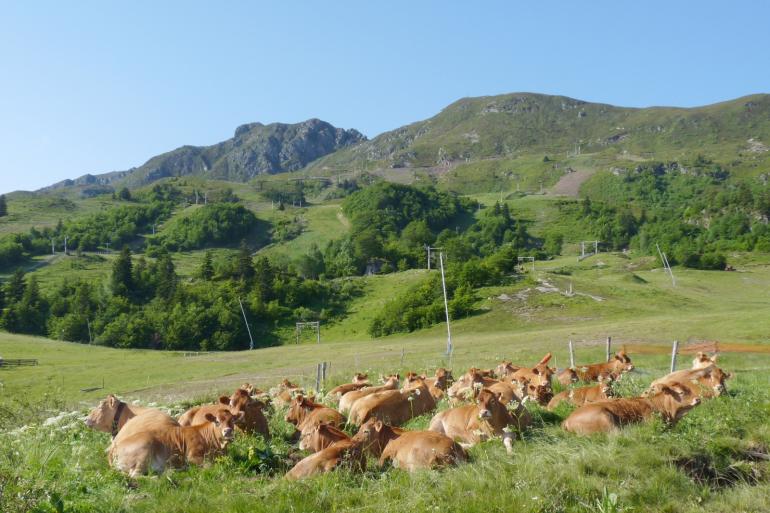 De omvang van het besmette gebied is als sinds 22 juli gelijk gebleven