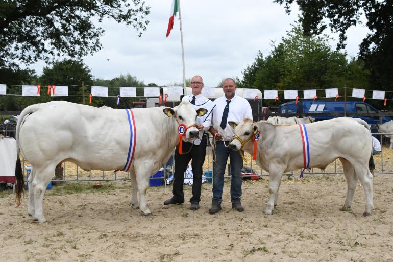 algemeen kampioenen piemontese