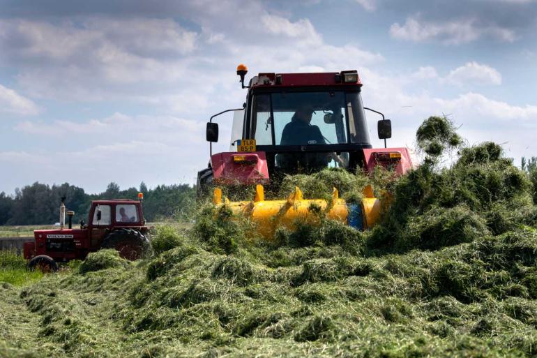 Net als het suikergehalte liggen ook het drogestofgehalte en de vem van de zomerkuilen boven de normale waarden
