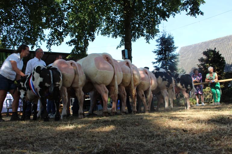 De kampioenen van Geffen 2025