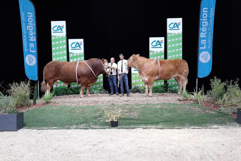 Dit jaar geen veeprijskampen op de Sommet de l’élevage 