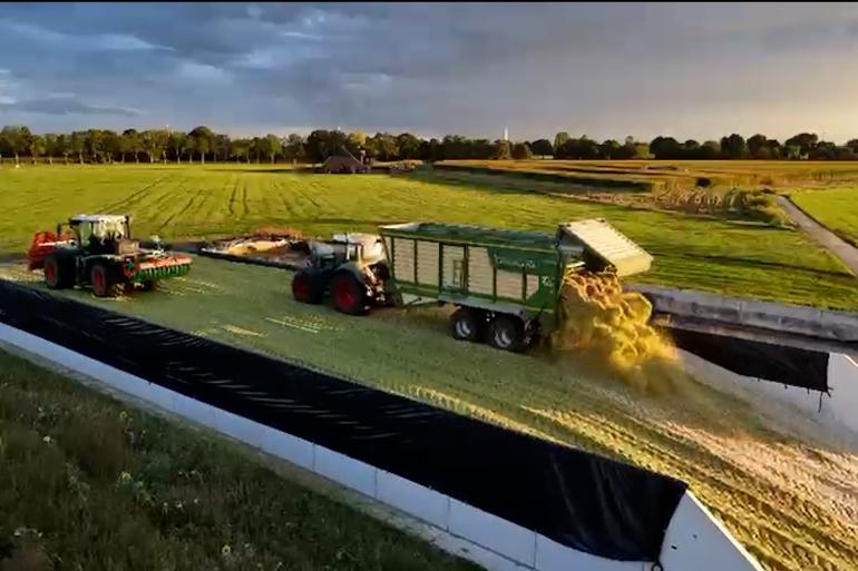 In de lasagnekuil bij de familie Gosselink is een laag mks en snijmais over het gras heengekuild
