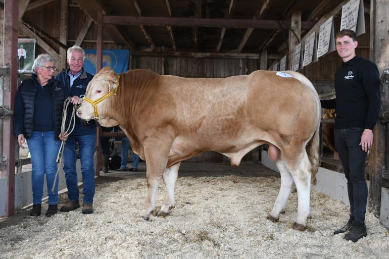 veilingtopper BAC Vert