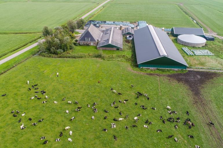 De organisaties pleiten voor meer politieke aandacht voor voedselzekerheid en stellen een Innovatiefonds van 2,5 miljard euro per jaar voor om innovatie en technologische vooruitgang te stimuleren