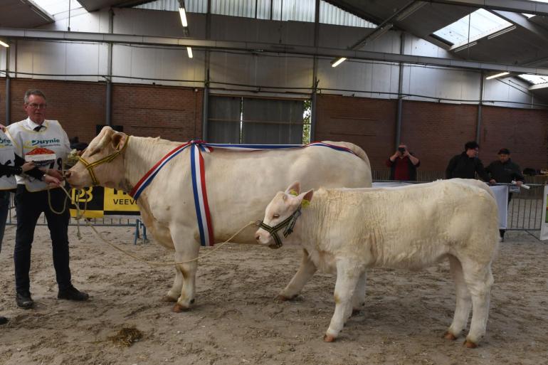 De 6-jarige Pucini (v. Invictus), dankte het algemeen kampioenschap mede aan haar goede moedereigenschappen