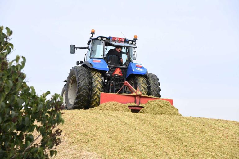 Met 401 gram per kilo is het drogestofgehalte van de mais dit jaar opvallend hoog
