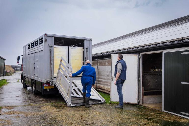 DGZ blijft hameren op het belang van bioveiligheid, ook in de handel